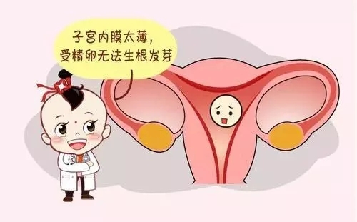 甘肃兰州供卵试管婴儿LWI价格的医疗费用和生活费用