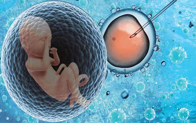 供卵试管婴儿养育的儿童健康状况调查