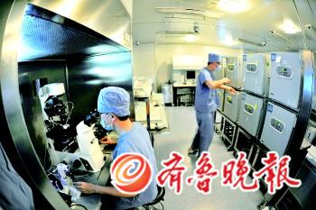 供卵试管婴儿孕育医生说的晚期周数是什么意思？