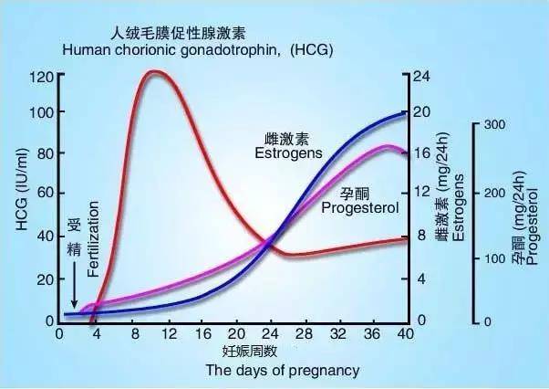 你是否知道注射供卵做试管婴儿的副作用？