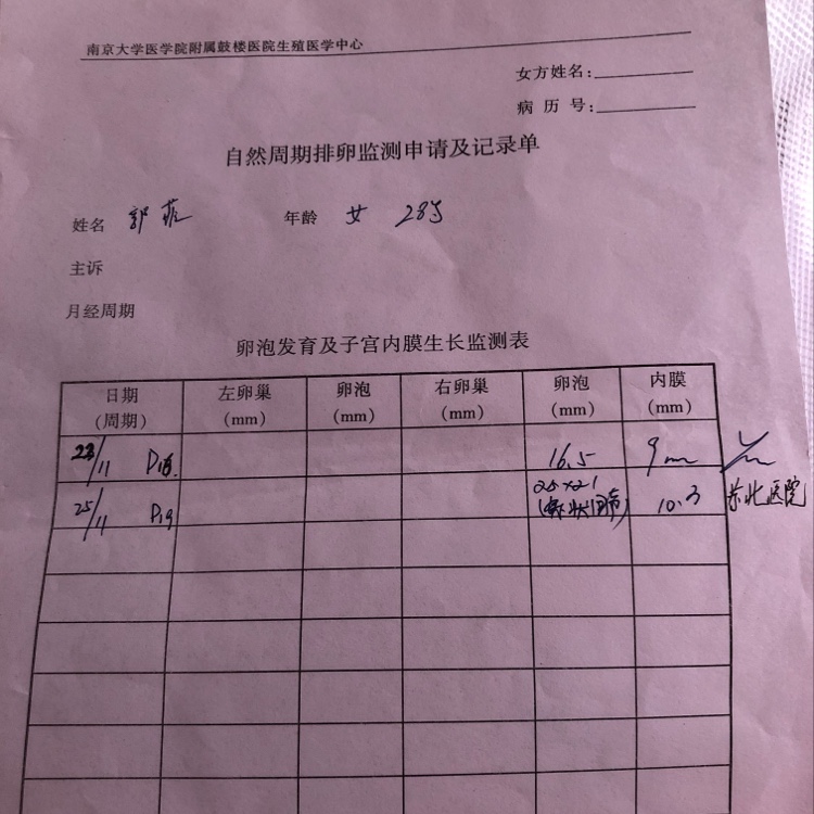 供卵试管婴儿移植后如何调整