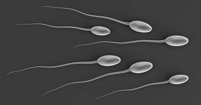 (代生妈妈如何怀孕（找人代生）沪中医院生殖科做赠卵供卵试管三代能生双胞胎吗？