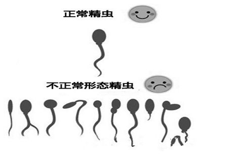 单身人士做供卵代生试管自卵合法吗，在中国能做吗