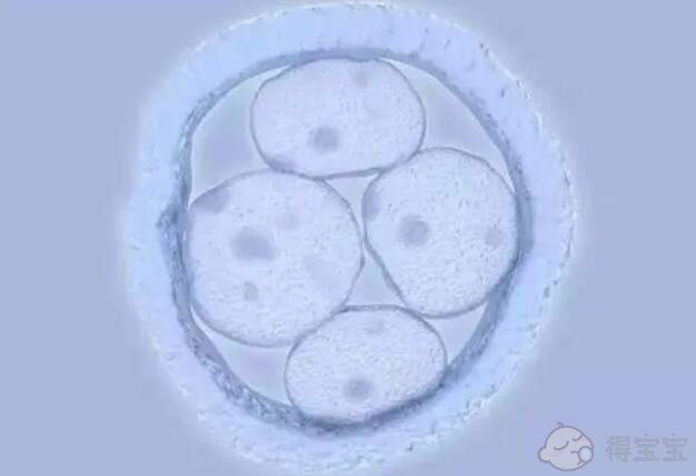 生男生女准确率100%的公式,生男生女公式怎么算