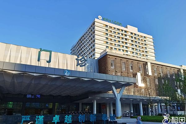 泰国帕亚泰2医院做供卵试管有哪些技术,成功率高么