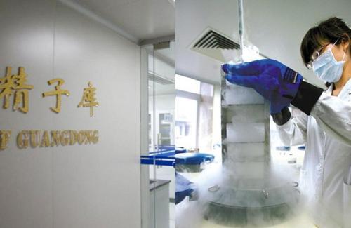 贵州残角子宫借卵做供卵试管代生医院前五榜单,附2023三代借卵做试管生男孩费用详情