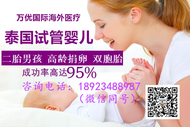 没有月经做借卵试管婴儿能成功吗