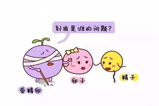 女人绝经后可以借卵做试管怀孕吗