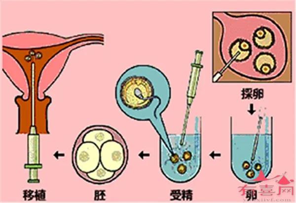 赠卵试管需要带什么证件