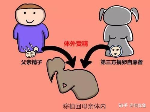 甘肃兰州做供卵试管比较好的医院