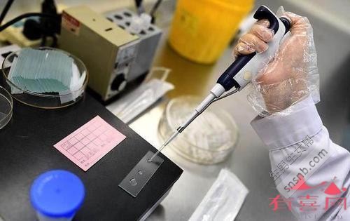 试管婴儿冷冻胚胎移植成活率高吗