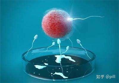 女人做试管怎么做