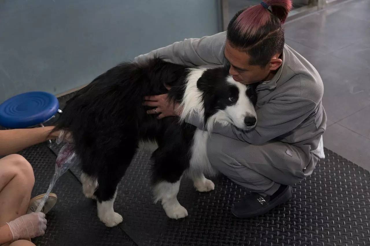 兰州医大一院试管专家
