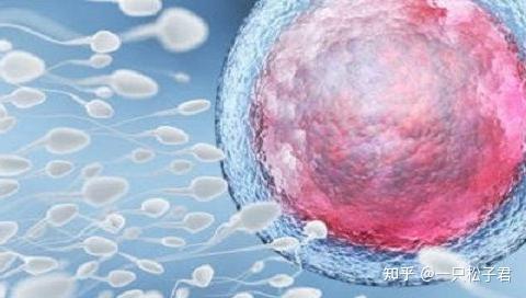 试管定期排泄促进药物的名称是什么？试管代怀妈妈生男孩常用的促排药物是什么