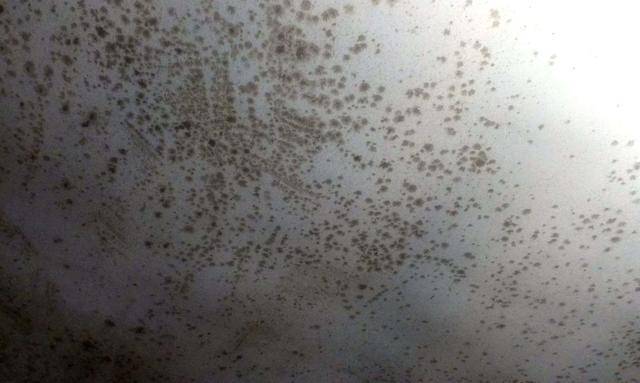 男性精子活力b级能正常生育吗？