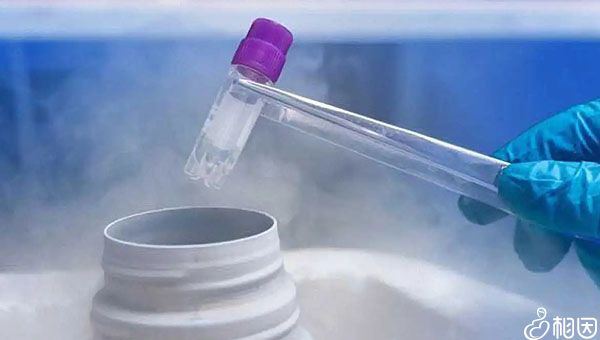 试管代怀费用哪费用低多少钱可以做