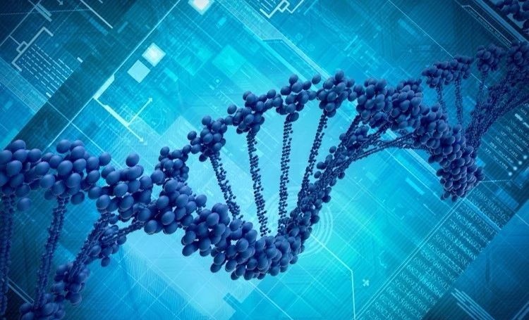 甘肃兰州山大试管费用试管代怀自然怀孕多钱？第三代试管代怀多久能拿费用有哪些花费？