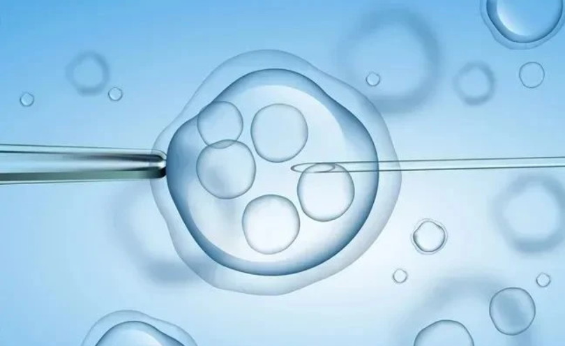 做试管代怀成功率高吗婴儿什么时候去最好呢（试管代怀选性别套餐什么时候去检查合适）