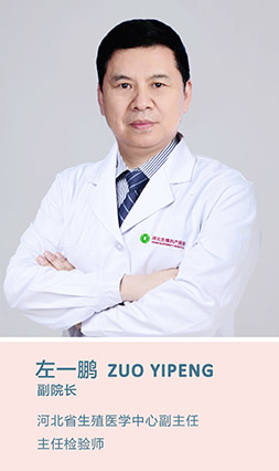 卵裂期包括囊胚期吗,为什么提倡采用选择性单囊胚移植助孕+