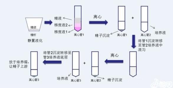 兰州供卵试管代怀（甘肃兰州供卵）