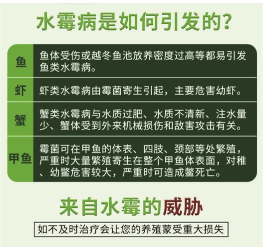 甘肃毓璜顶试管代怀怎么操作婴儿费用明细表