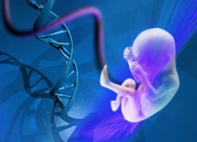 包成功试管代怀首次b超时间_代怀生子需要多久期间,为何要进行多次B超检查