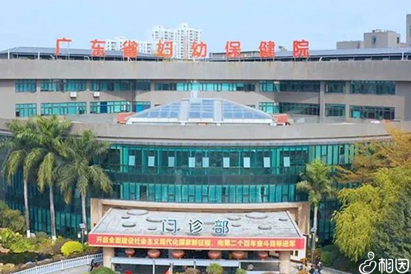 甘肃最靠谱的试管供卵试管代怀咨询机构可信吗