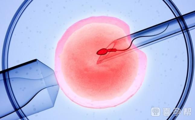 代怀包生男孩套餐全部多少钱啊_HIV辅助试管代怀多少钱