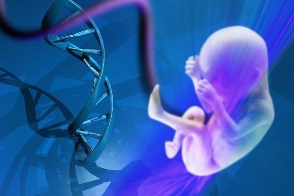 45岁有多少人去试管供卵试管代怀地址婴儿