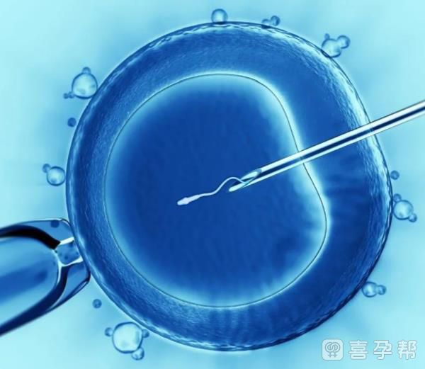 借卵生子有危害（详解借卵生子的后患及弊端）