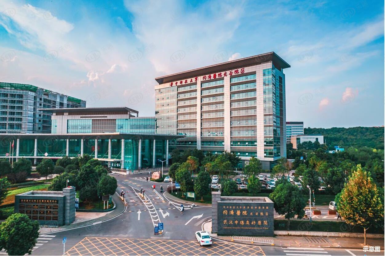 为什么合法试管代生婴儿前必须检查性激素六项（检查的注意事项有哪些？）