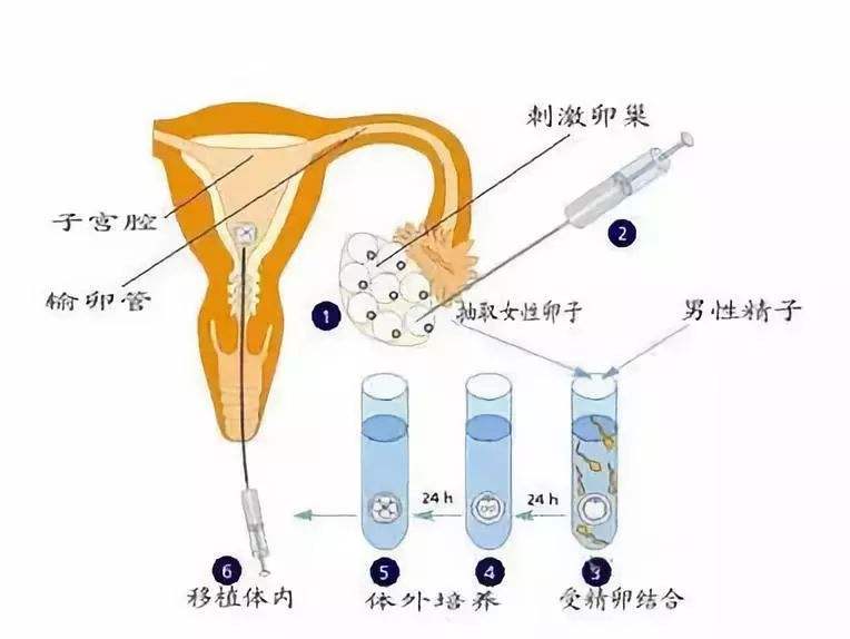 甘肃兰州三代代怀小孩哪家优惠多少钱（二十万够吗？）
