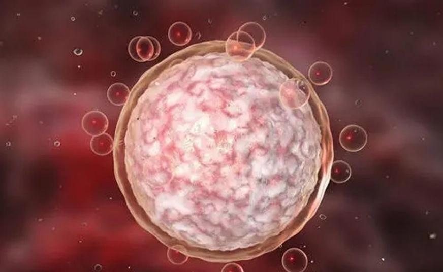 2024兰州省妇幼保健院供精子试管三代供卵流程费用一览表
