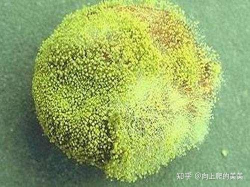 2024在甘肃兰州三代试管私人医院费用全程多少钱啊（一次会不会很贵？）
