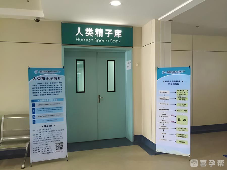 第三代代怀生男孩价格生个儿子要多少钱（10万的费用够吗？）