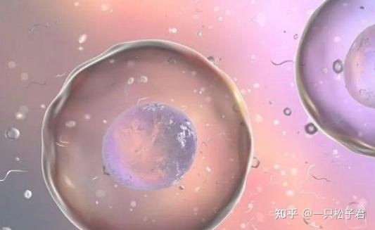 甘肃三代试管代怀生子助孕机构价格（三代试管助孕机构排行价格2024兰州）