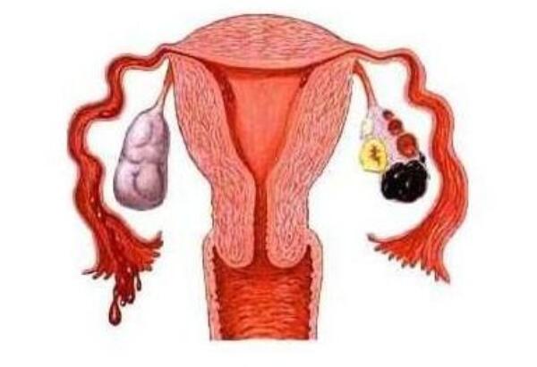 甘肃301医院可以借卵代怀代生婴儿吗做供卵代怀产子需要多少钱