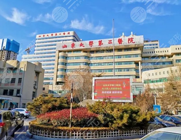 40岁代生儿子双胞胎+做试管包生男孩医院能决定男女吗