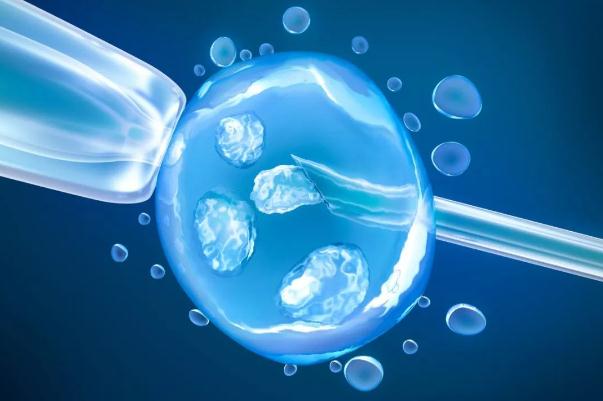 供卵试管生子小孩都很健康_优贝健康告诉您助孕代怀生子费用的孩子是健康的吗（健康）