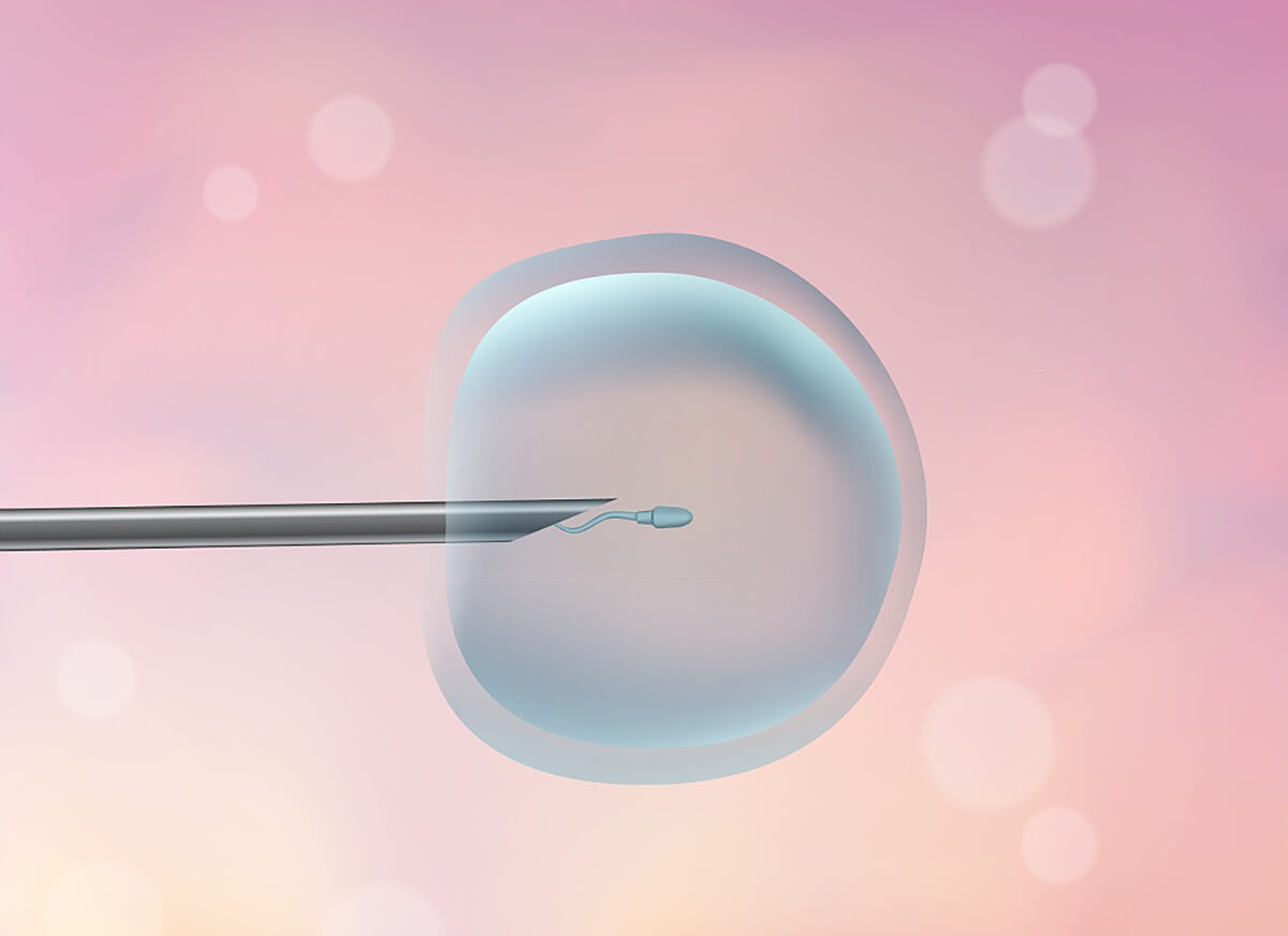 为什么受精卵发生着床的时间在同房12天左右