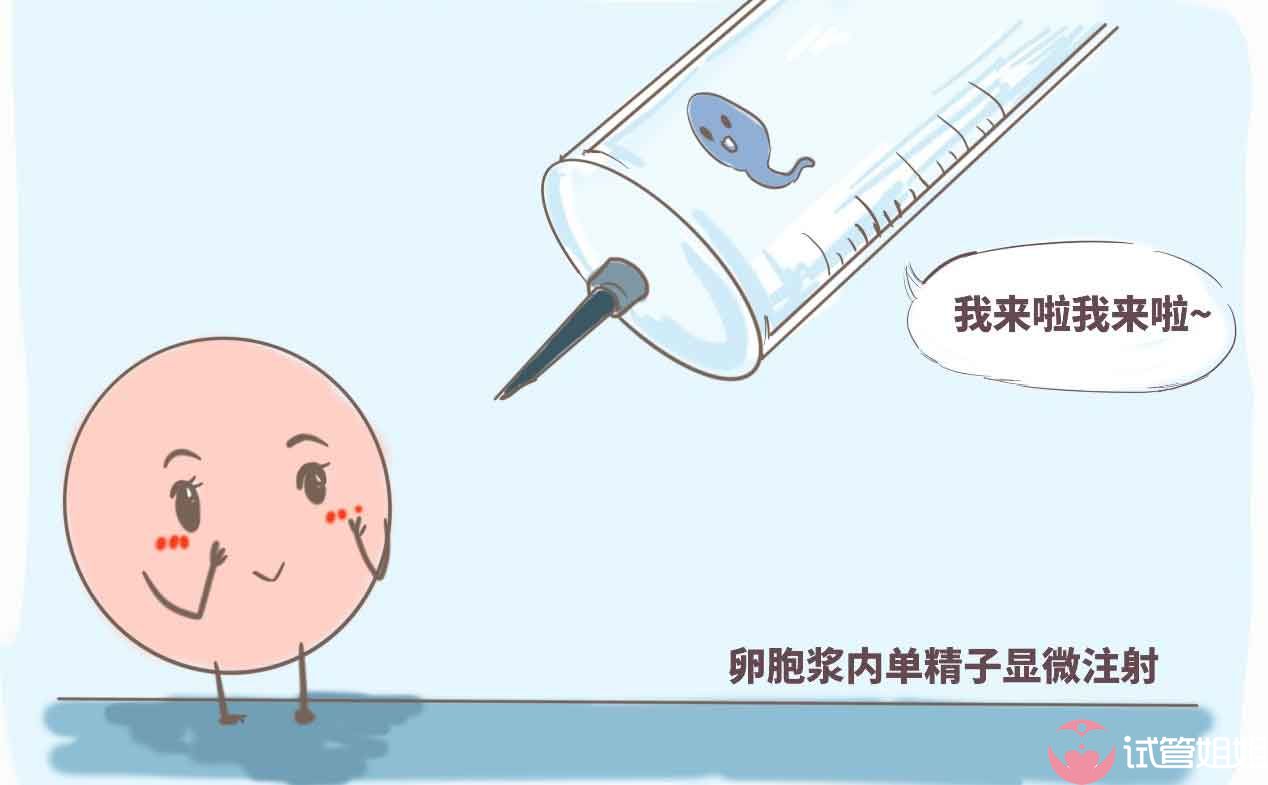 冻卵复苏后和新鲜卵子的质量是一样吗